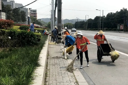 愛國衛生月 我們在行動(圖2)